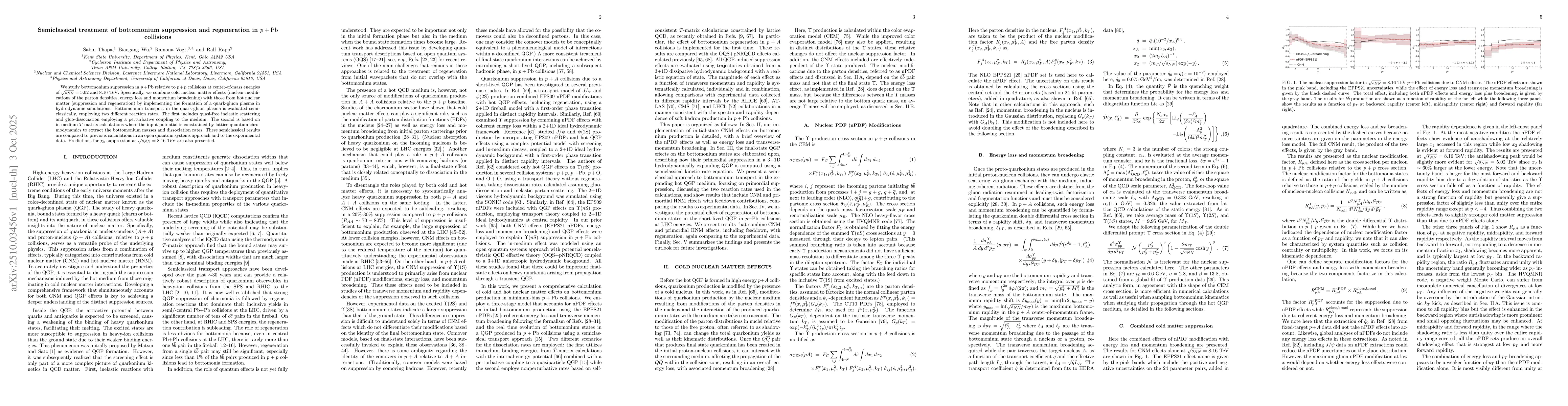 Thumbnail for Semiclassical treatment of bottomonium suppression and regeneration in
  $p+{\rm Pb}$ collisions