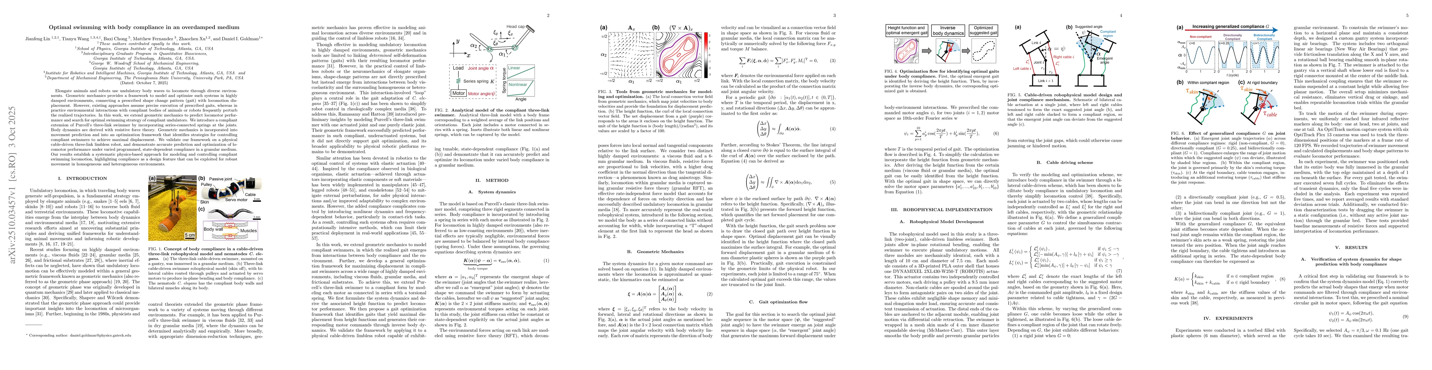 Thumbnail for Optimal swimming with body compliance in an overdamped medium