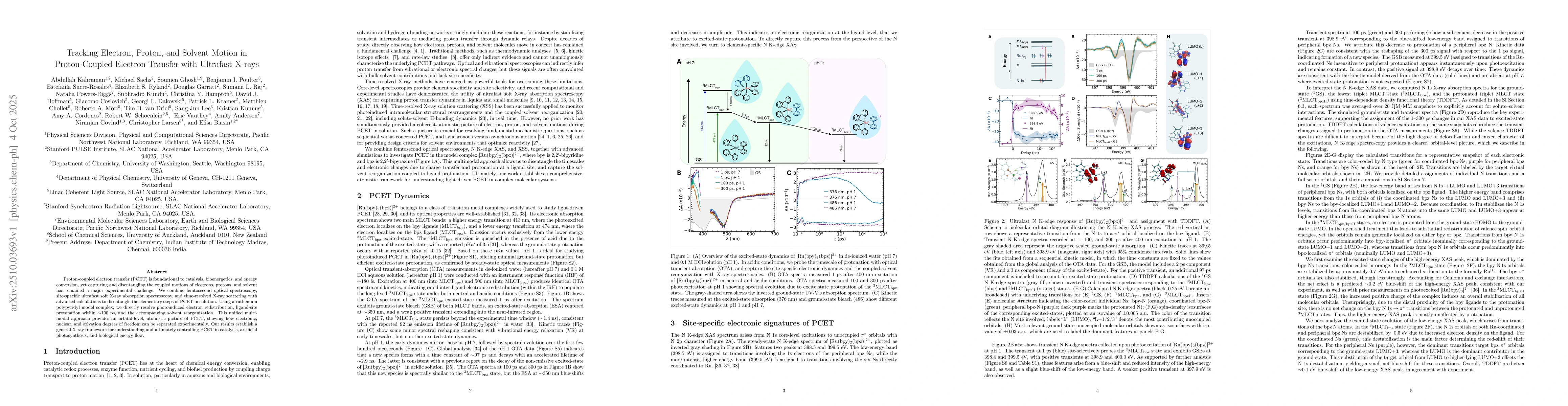 Thumbnail for Tracking Electron, Proton, and Solvent Motion in Proton-Coupled Electron
  Transfer with Ultrafast X-rays