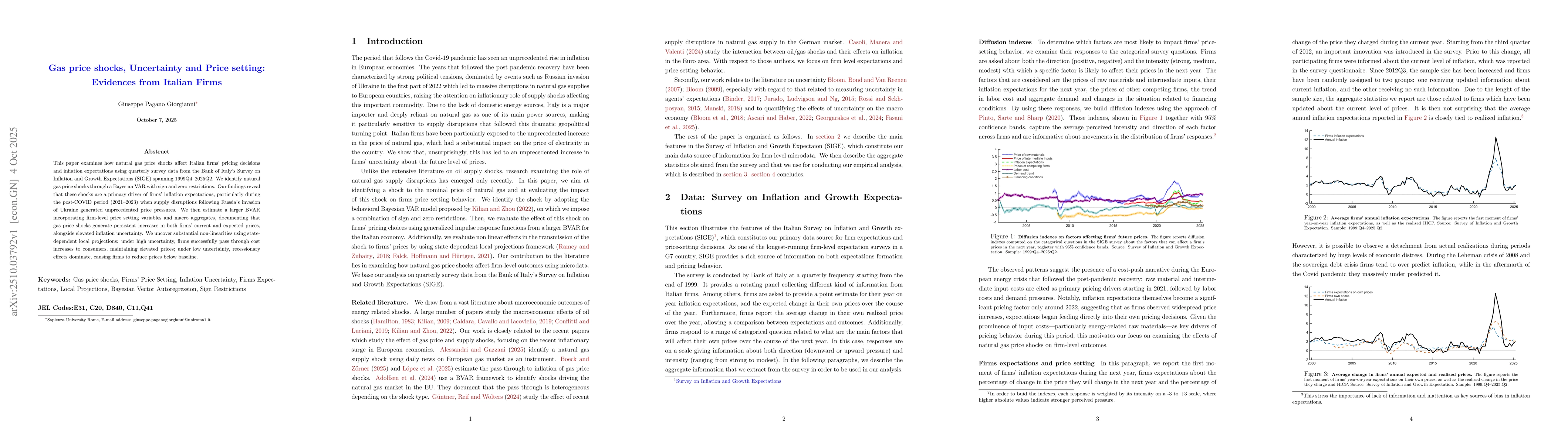 Thumbnail for Gas price shocks, uncertainty and price setting: evidences from Italian
  firms