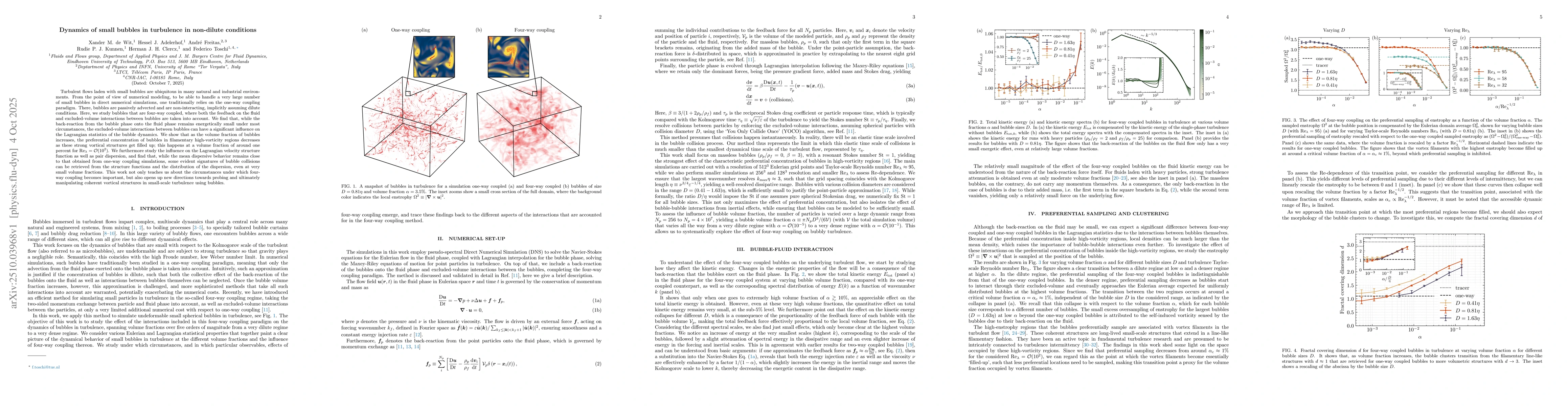 Thumbnail for Dynamics of small bubbles in turbulence in non-dilute conditions