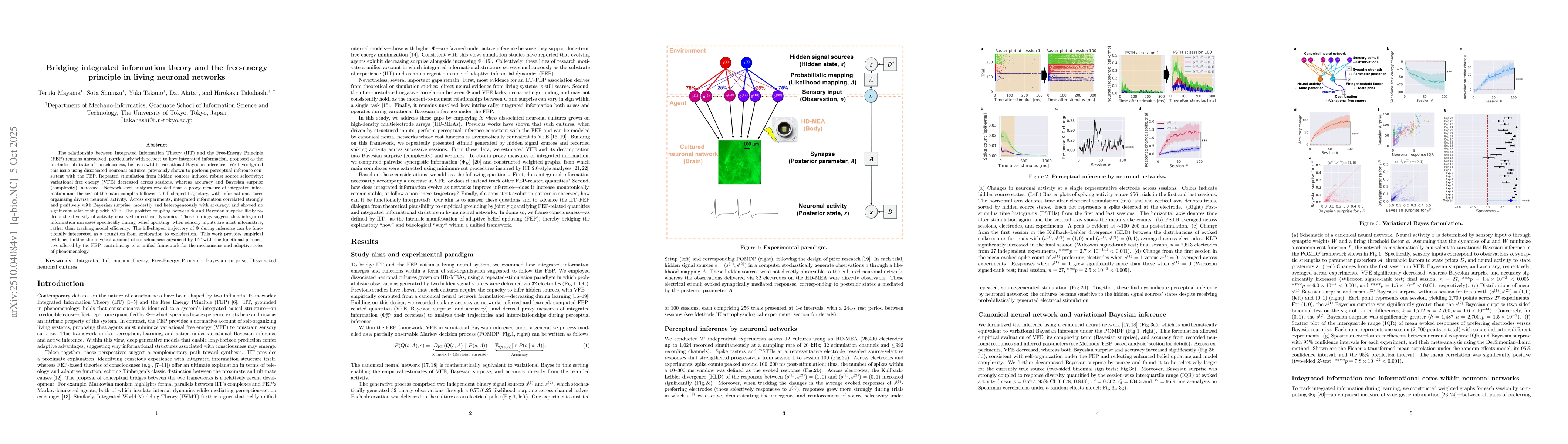 Thumbnail for Bridging integrated information theory and the free-energy principle in
  living neuronal networks
