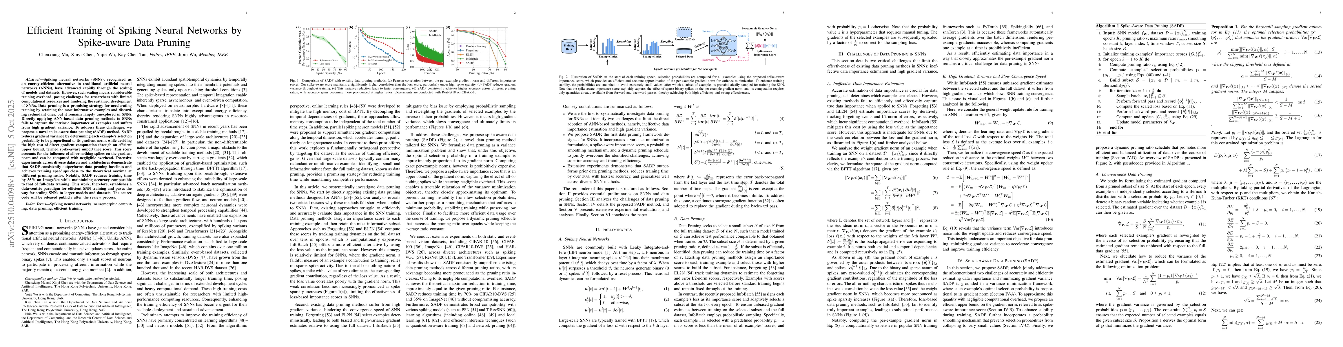 Thumbnail for Efficient Training of Spiking Neural Networks by Spike-aware Data
  Pruning