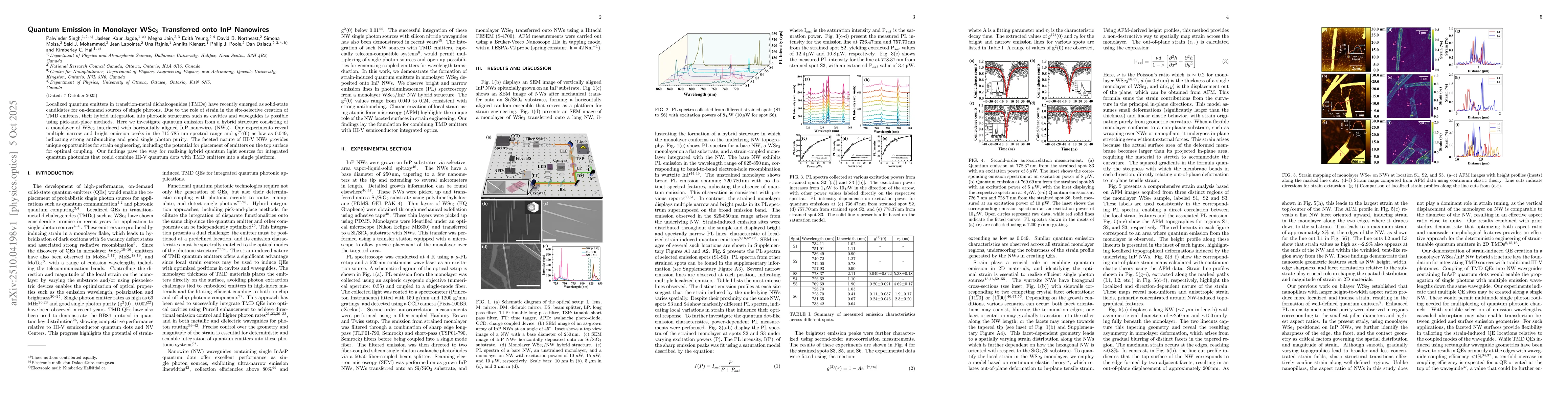 Thumbnail for Quantum Emission in Monolayer WSe2 Transferred onto InP Nanowires