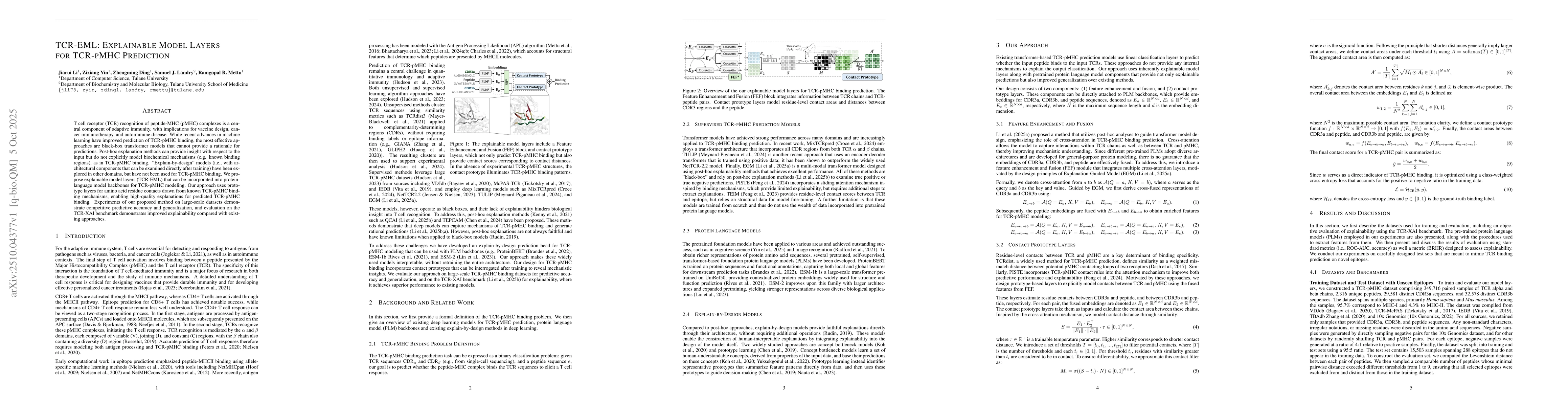 Thumbnail for TCR-EML: Explainable Model Layers for TCR-pMHC Prediction