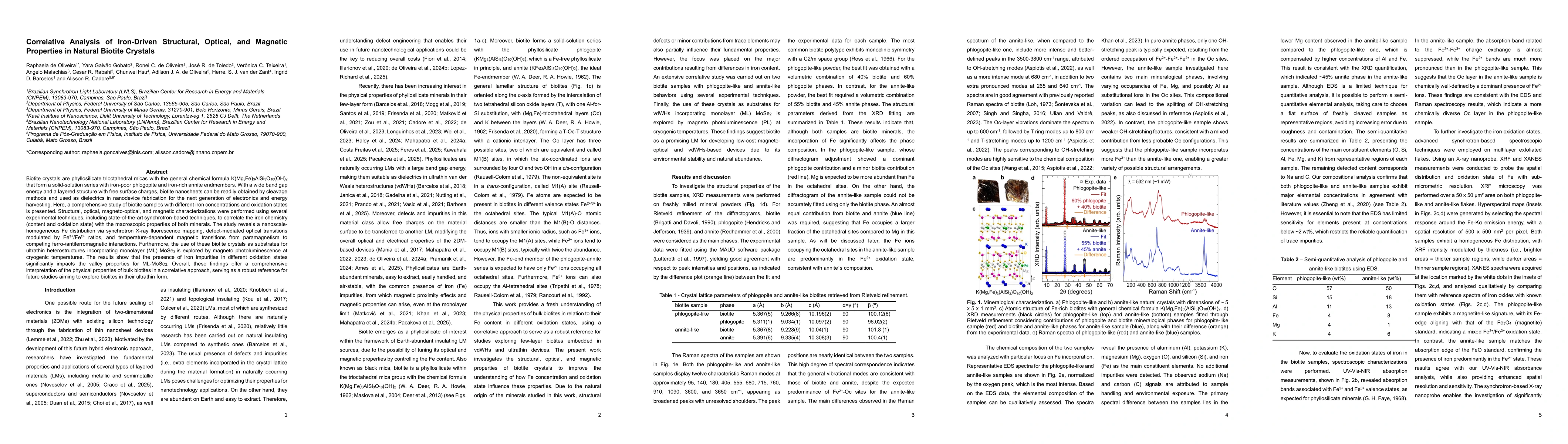 Thumbnail for Correlative Analysis of Iron-Driven Structural, Optical, and Magnetic
  Properties in Natural Biotite Crystals