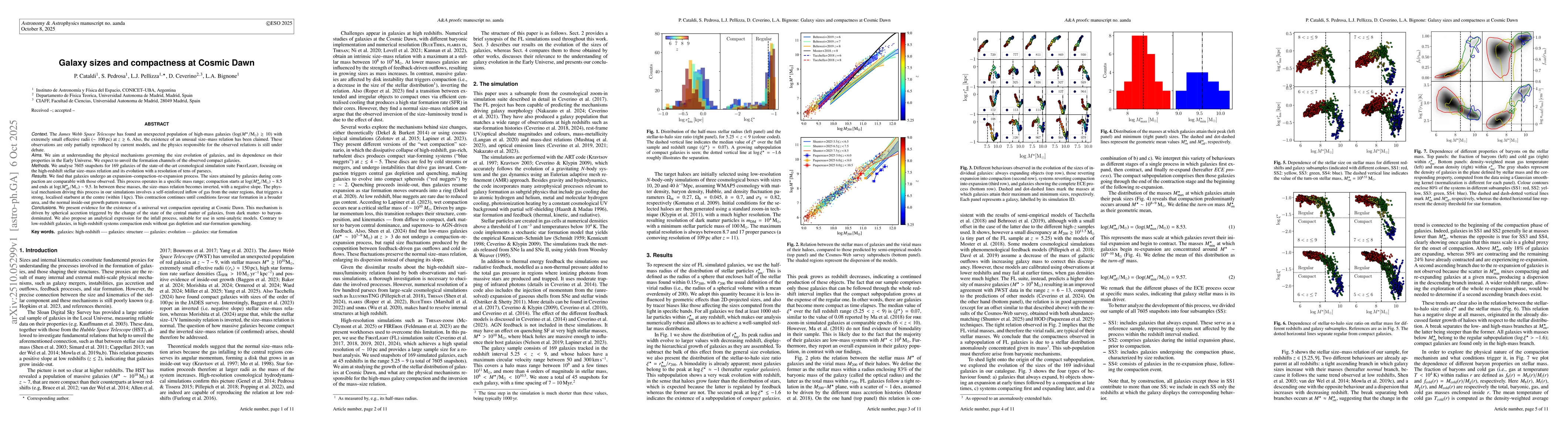 Thumbnail for Galaxy sizes and compactness at Cosmic Dawn