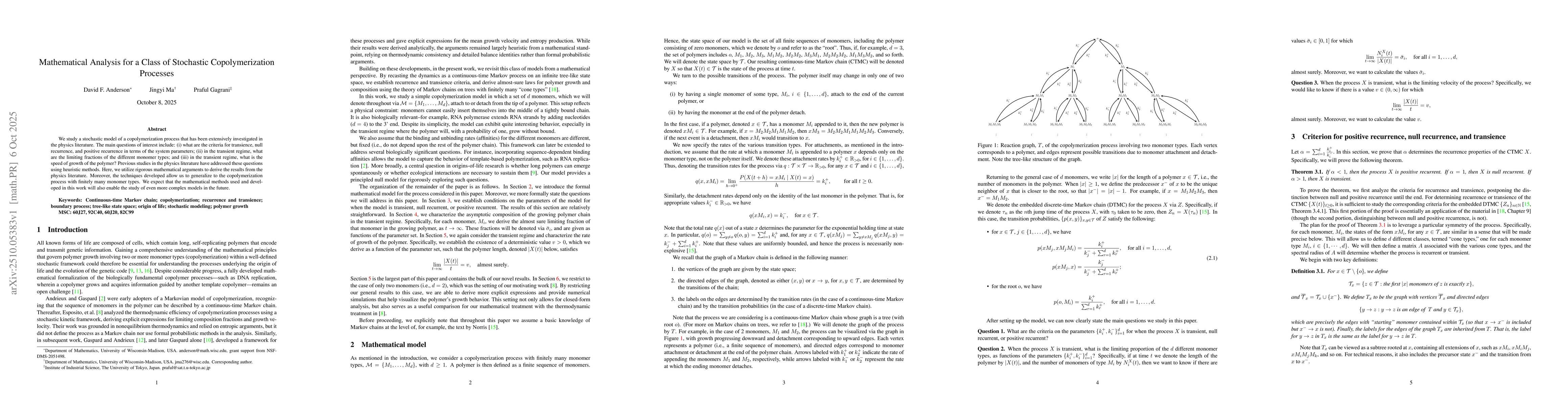 Thumbnail for Mathematical Analysis for a Class of Stochastic Copolymerization
  Processes