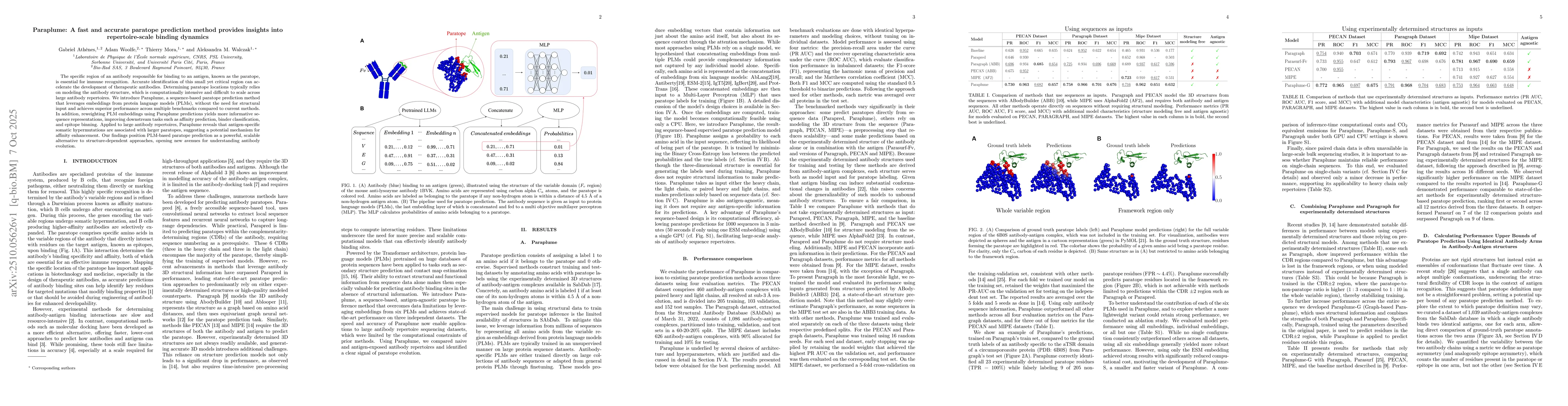 Thumbnail for Paraplume: A fast and accurate paratope prediction method provides
  insights into repertoire-scale binding dynamics