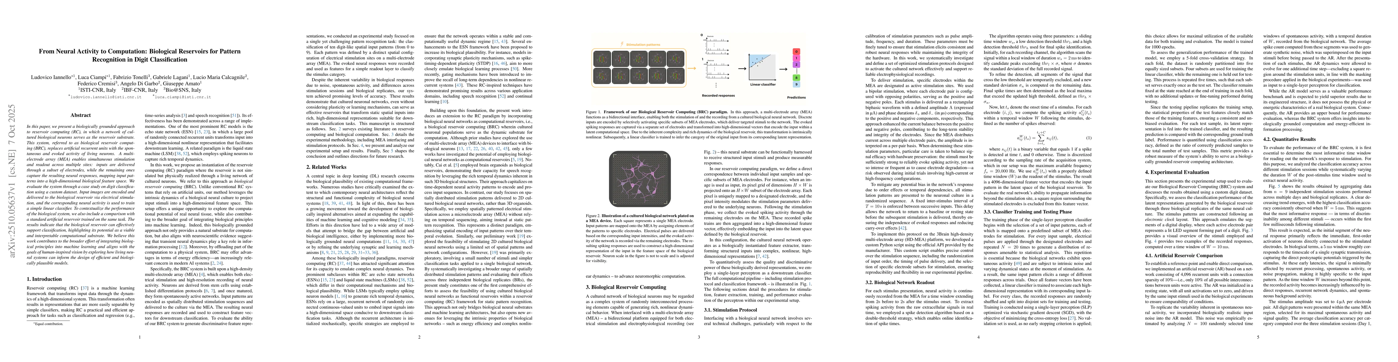 Thumbnail for From Neural Activity to Computation: Biological Reservoirs for Pattern
  Recognition in Digit Classification