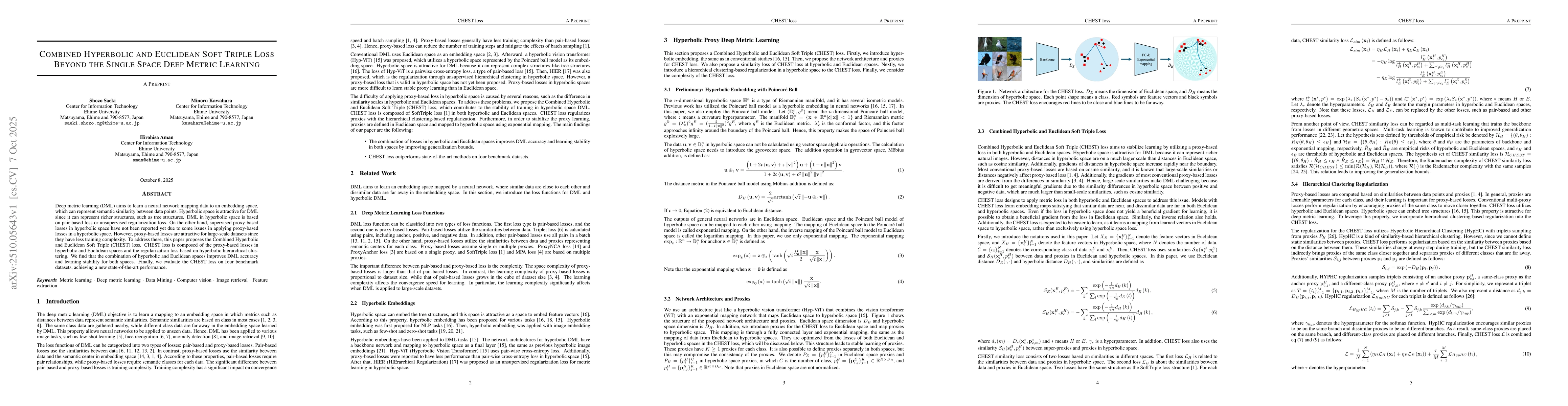 Thumbnail for Combined Hyperbolic and Euclidean Soft Triple Loss Beyond the Single
  Space Deep Metric Learning