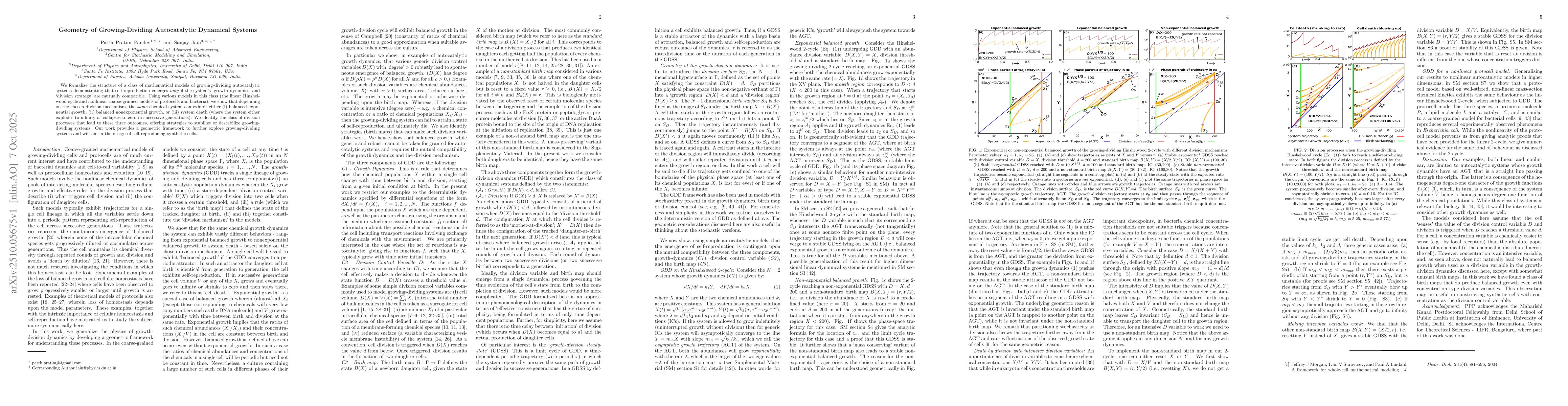 Thumbnail for Geometry of Growing-Dividing Autocatalytic Dynamical Systems