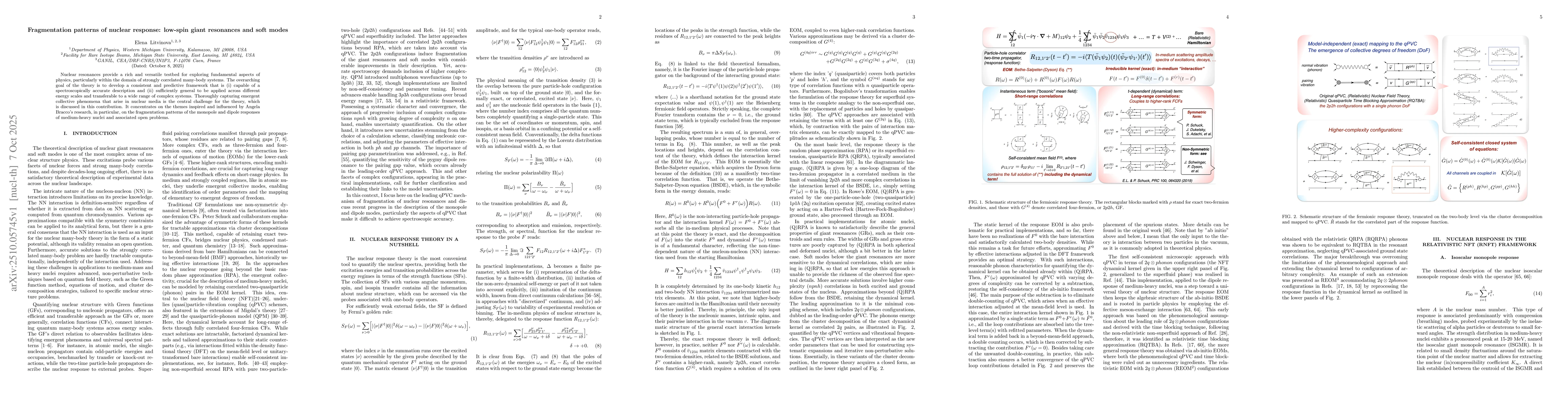 Thumbnail for Fragmentation patterns of nuclear response: low-spin giant resonances
  and soft modes