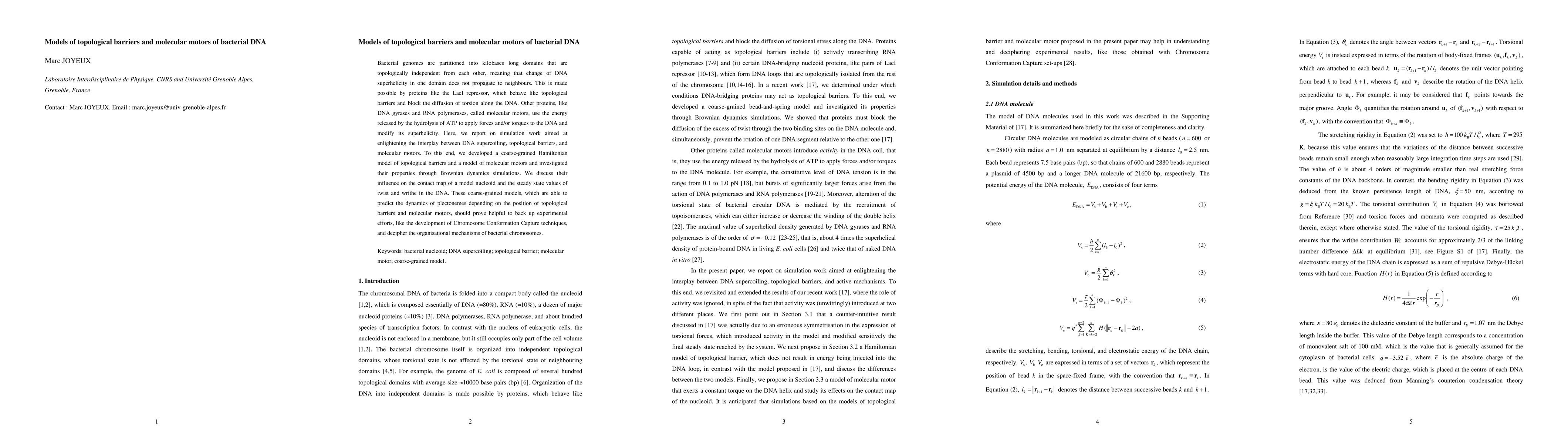 Thumbnail for Models of topological barriers and molecular motors of bacterial DNA