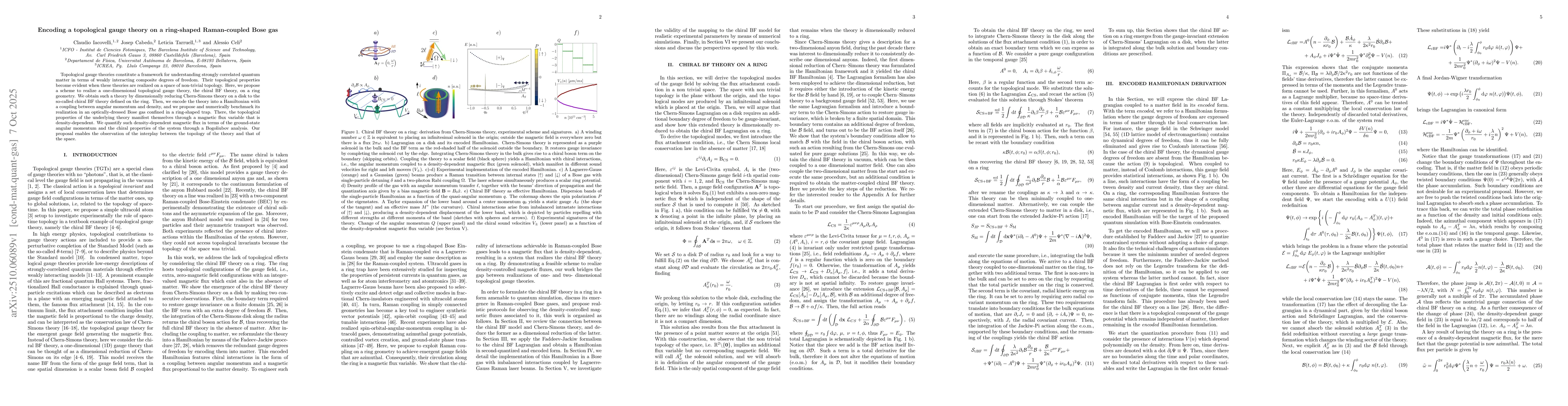 Thumbnail for Encoding a topological gauge theory on a ring-shaped Raman-coupled Bose
  gas