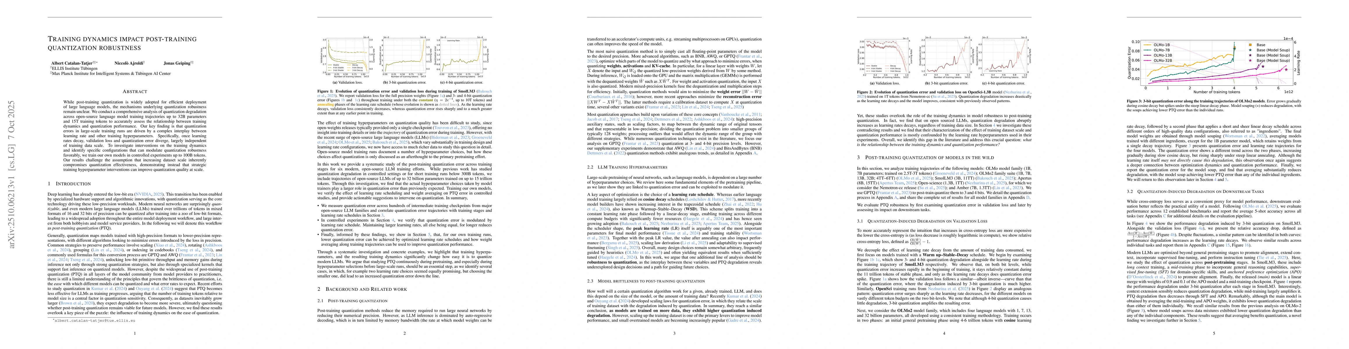Thumbnail for Training Dynamics Impact Post-Training Quantization Robustness