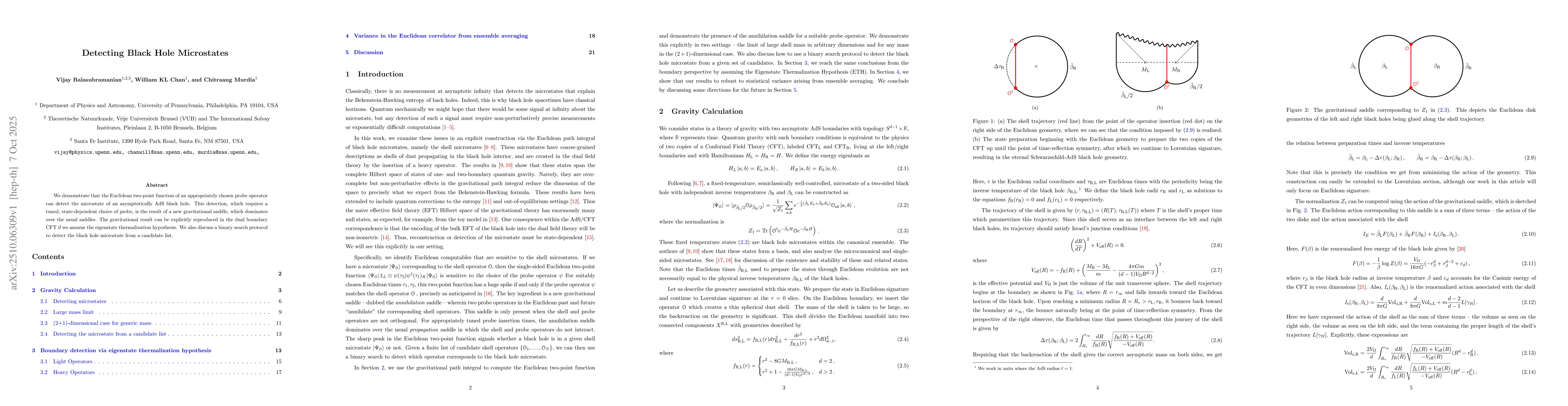 Thumbnail for Detecting Black Hole Microstates
