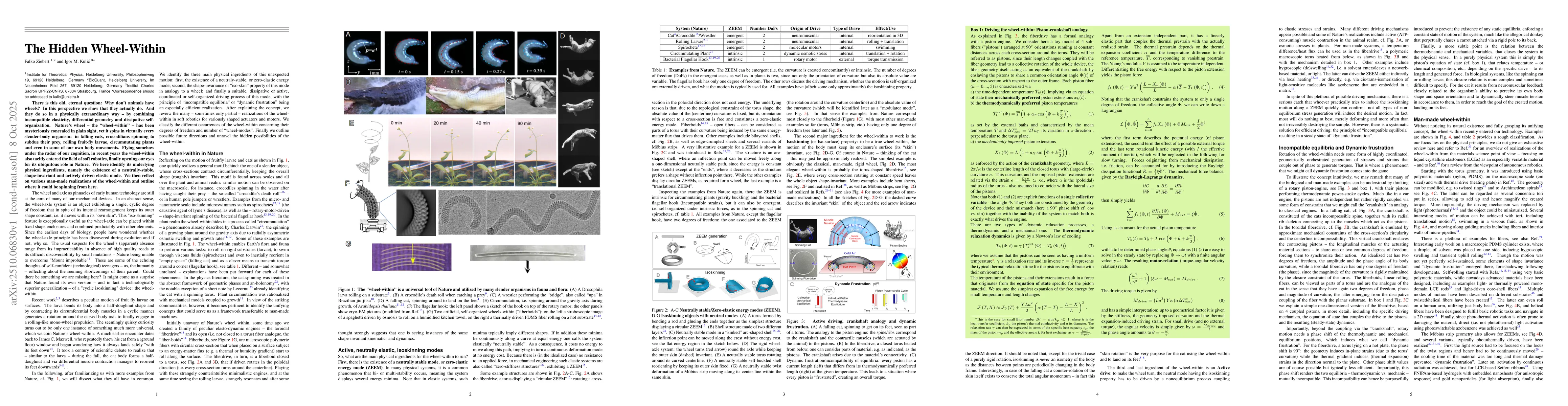 Thumbnail for The Hidden Wheel-Within