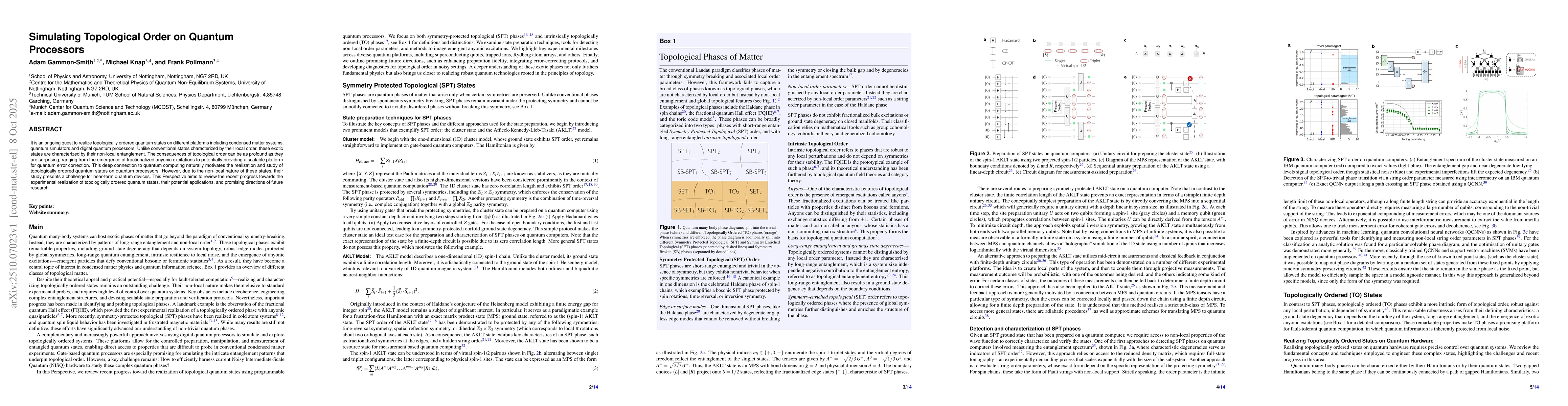 Thumbnail for Simulating Topological Order on Quantum Processors