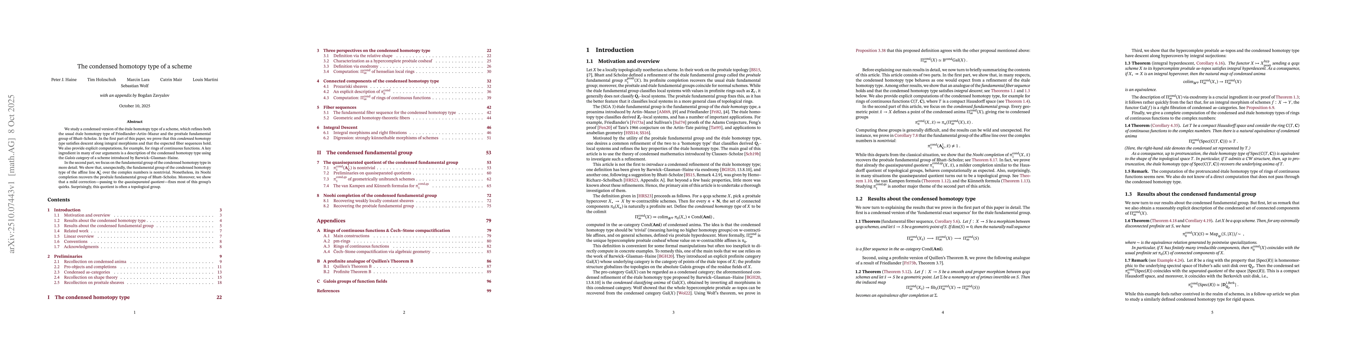 Thumbnail for The condensed homotopy type of a scheme