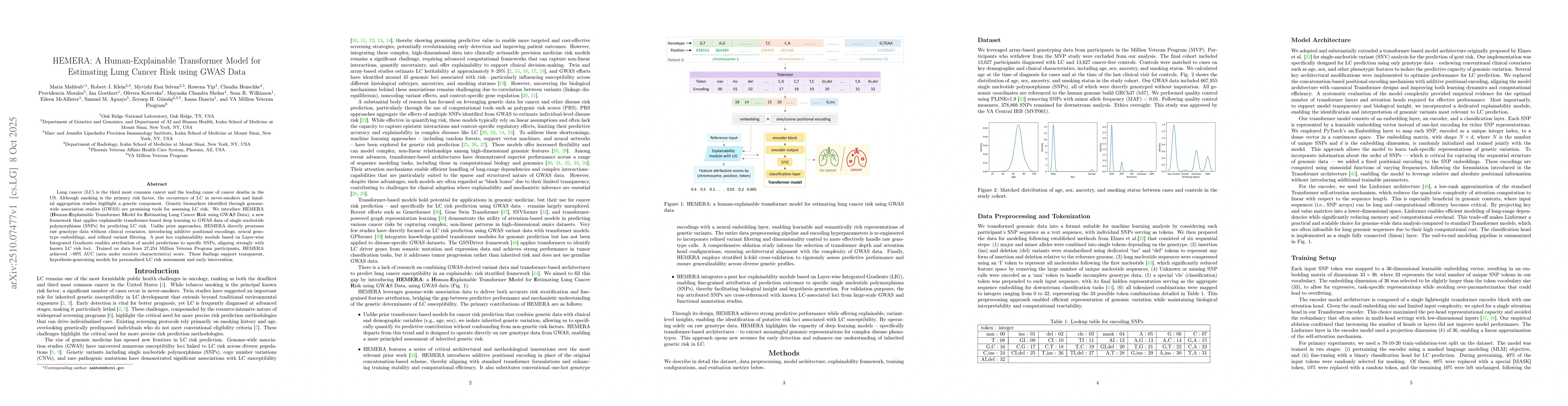 Thumbnail for HEMERA: A Human-Explainable Transformer Model for Estimating Lung Cancer
  Risk using GWAS Data