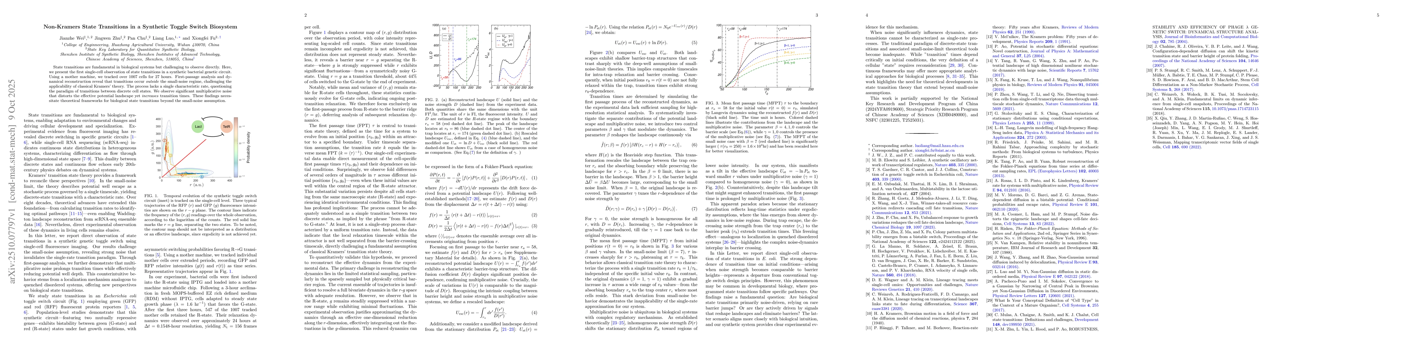 Thumbnail for Non-Kramers State Transitions in a Synthetic Toggle Switch Biosystem