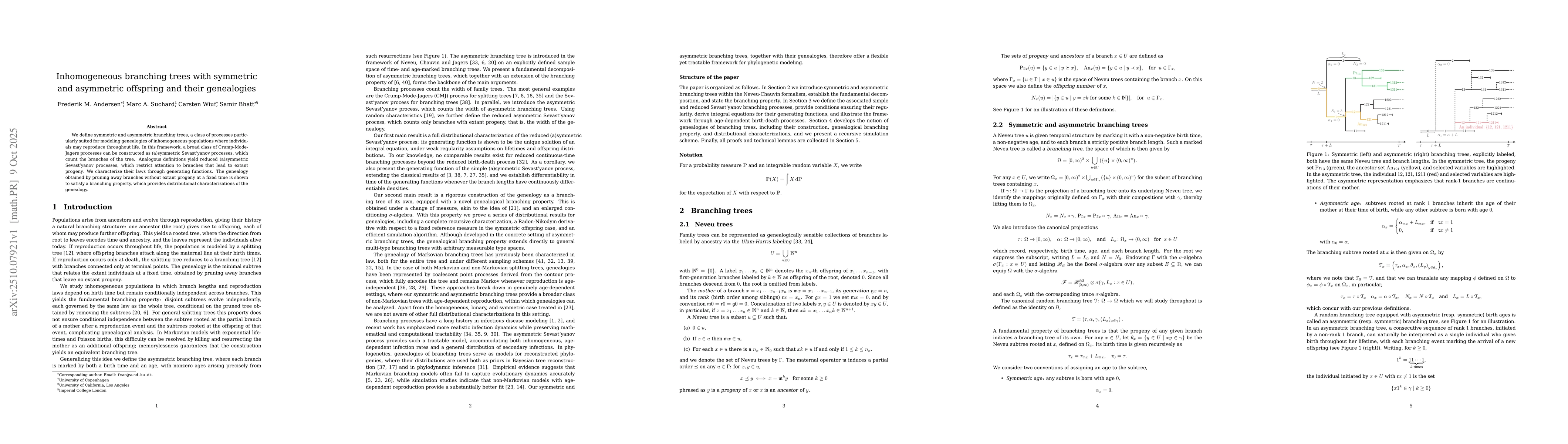 Thumbnail for Inhomogeneous branching trees with symmetric and asymmetric offspring
  and their genealogies