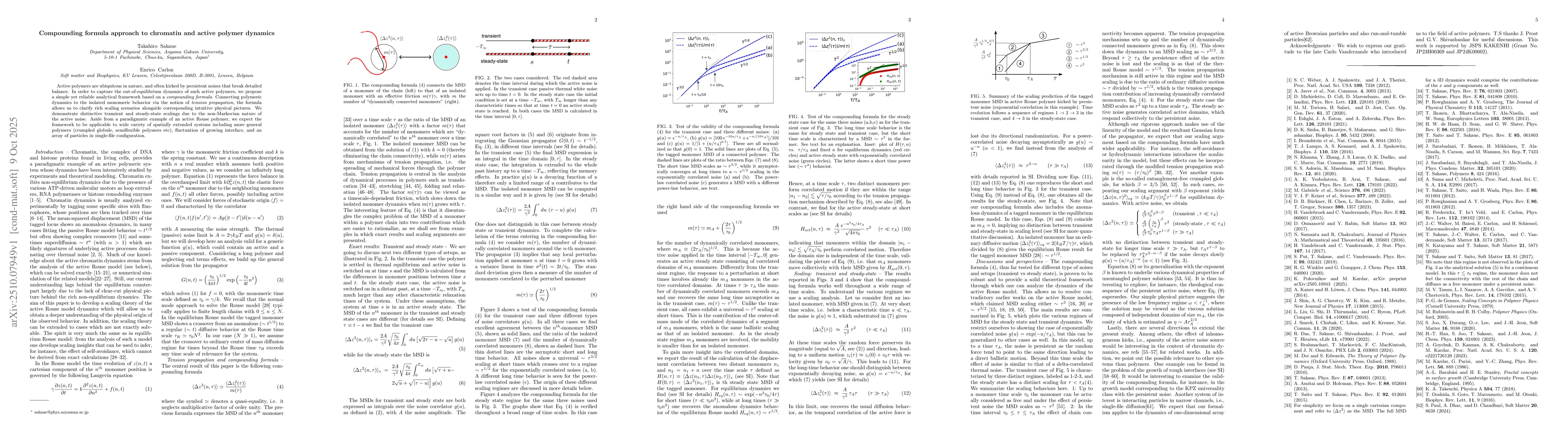 Thumbnail for Compounding formula approach to chromatin and active polymer dynamics