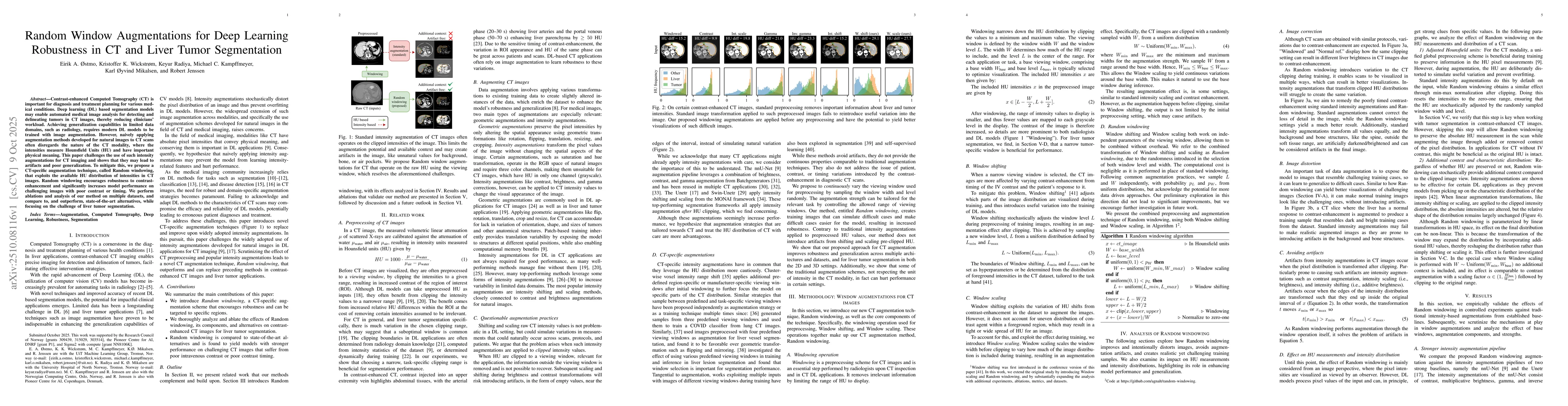 Thumbnail for Random Window Augmentations for Deep Learning Robustness in CT and Liver
  Tumor Segmentation
