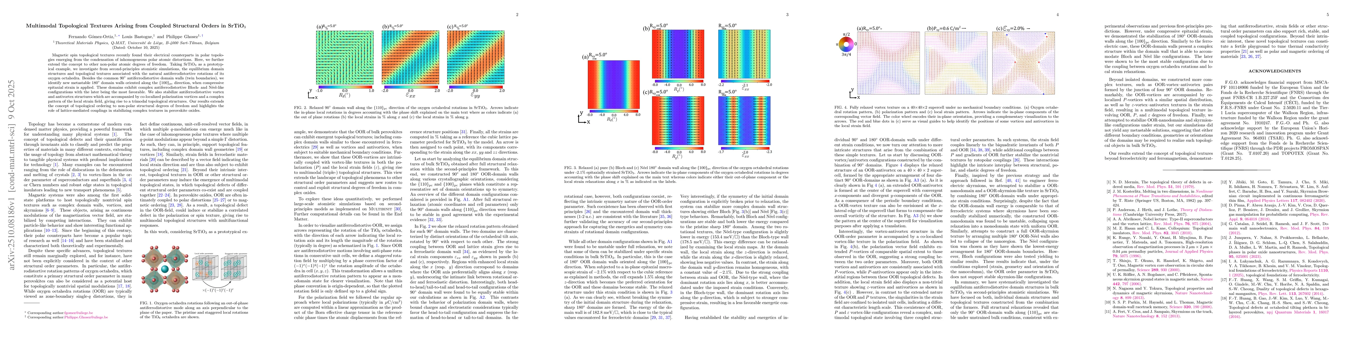 Thumbnail for Multimodal Topological Textures Arising from Coupled Structural Orders
  in SrTiO$_3$