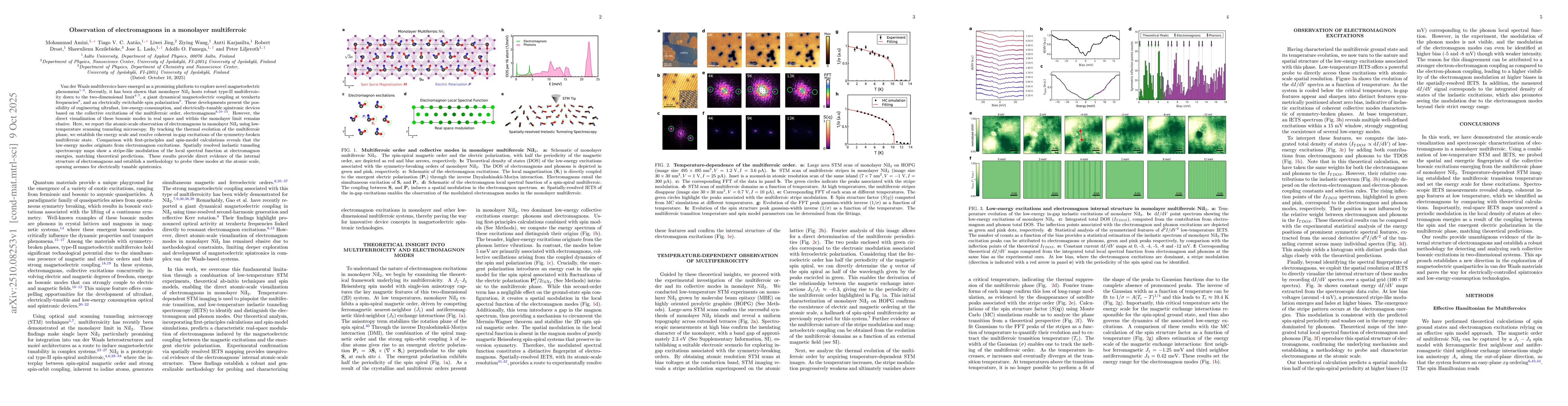 Thumbnail for Observation of electromagnons in a monolayer multiferroic