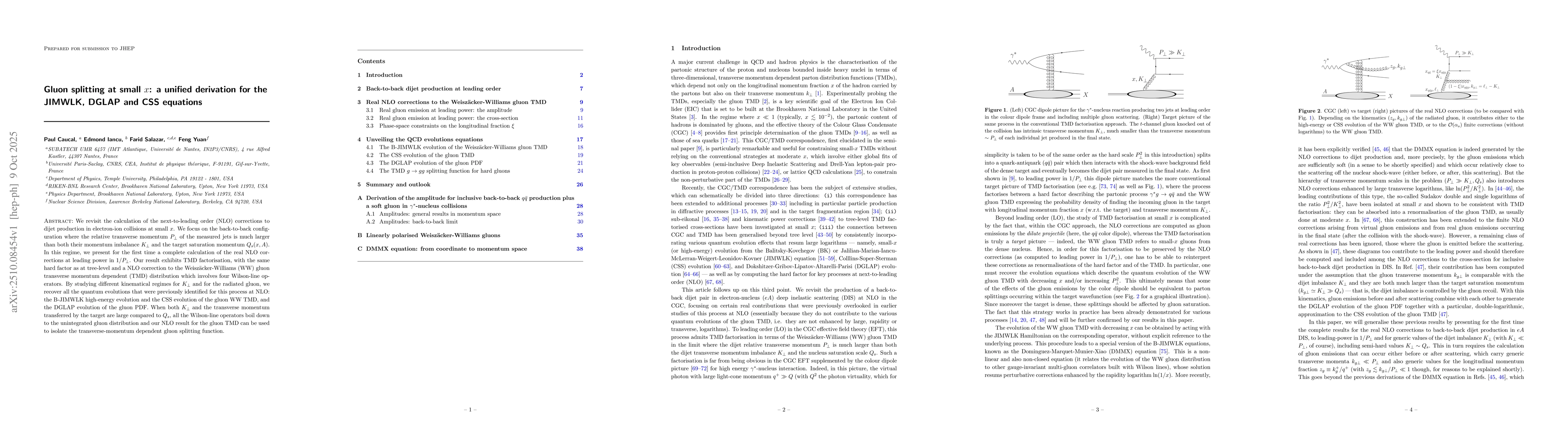 Thumbnail for Gluon splitting at small $x$: a unified derivation for the JIMWLK, DGLAP
  and CSS equations
