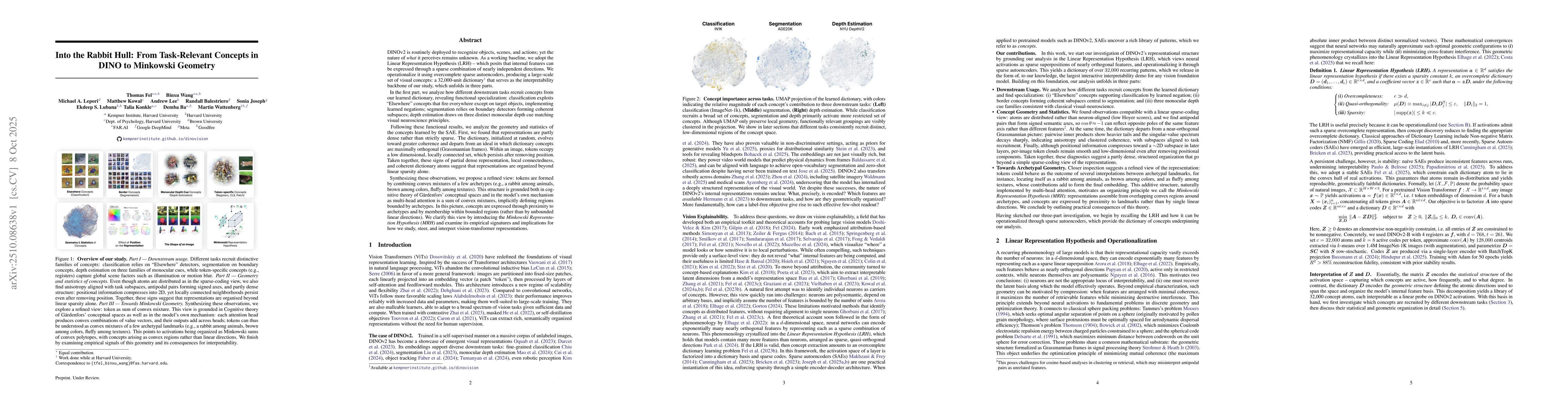 Thumbnail for Into the Rabbit Hull: From Task-Relevant Concepts in DINO to Minkowski
  Geometry
