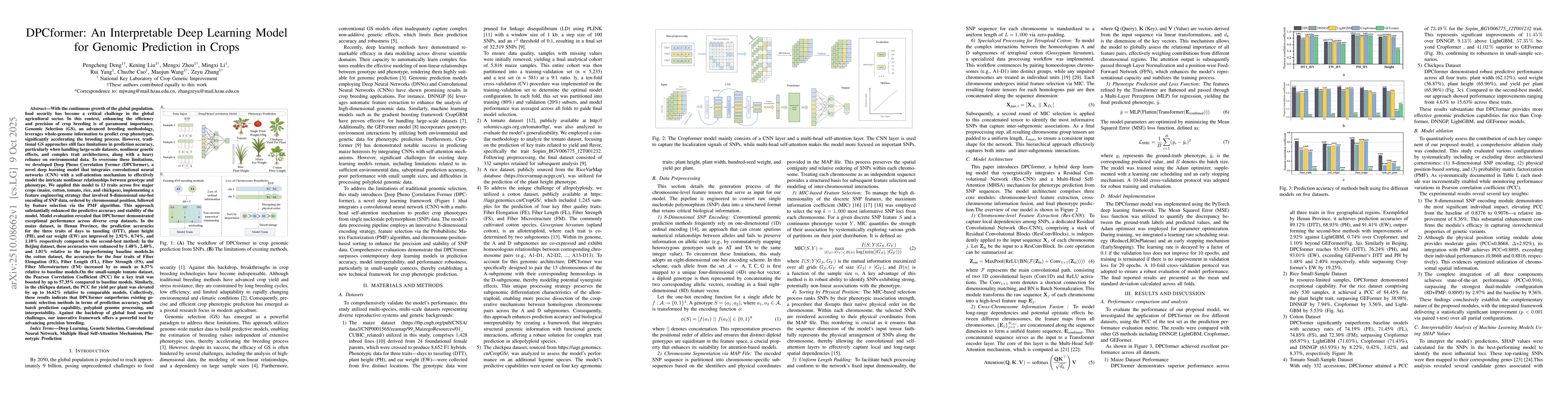 Thumbnail for DPCformer: An Interpretable Deep Learning Model for Genomic Prediction
  in Crops