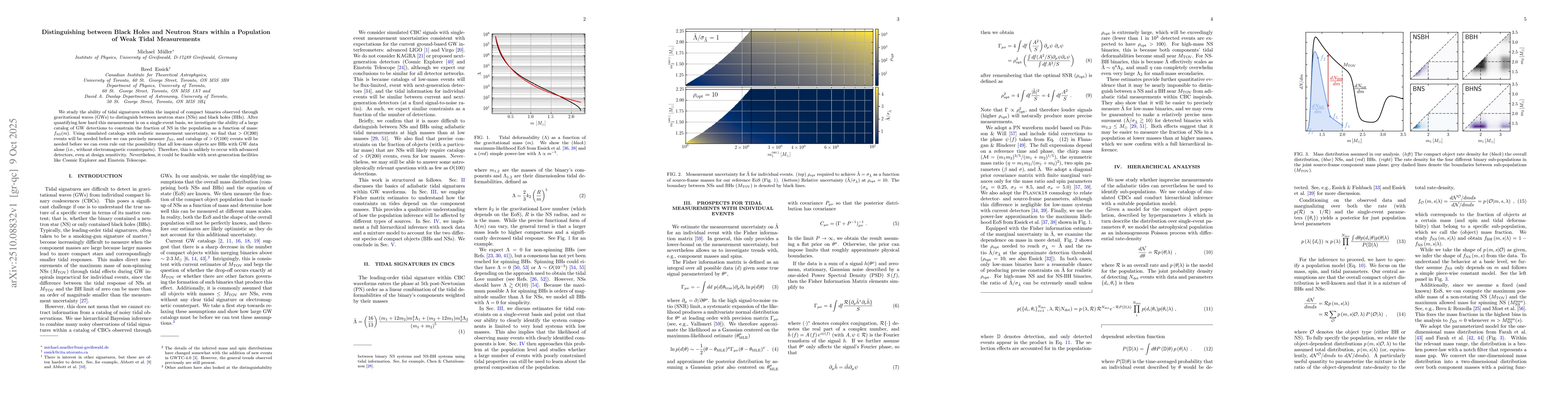 Thumbnail for Distinguishing between Black Holes and Neutron Stars within a Population
  of Weak Tidal Measurements