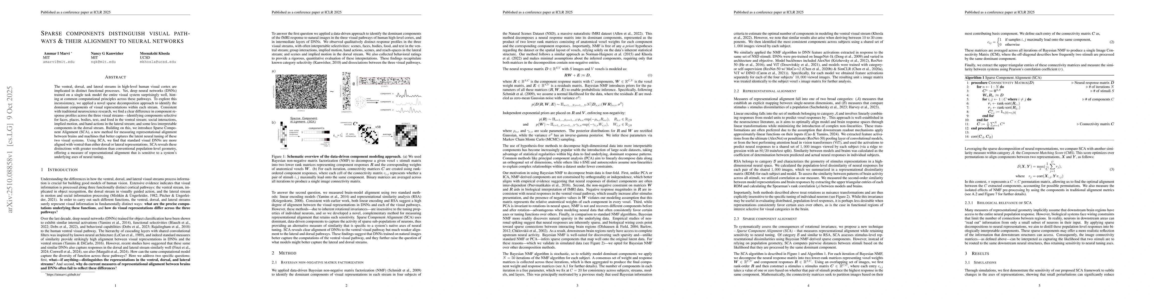 Thumbnail for Sparse components distinguish visual pathways & their alignment to
  neural networks