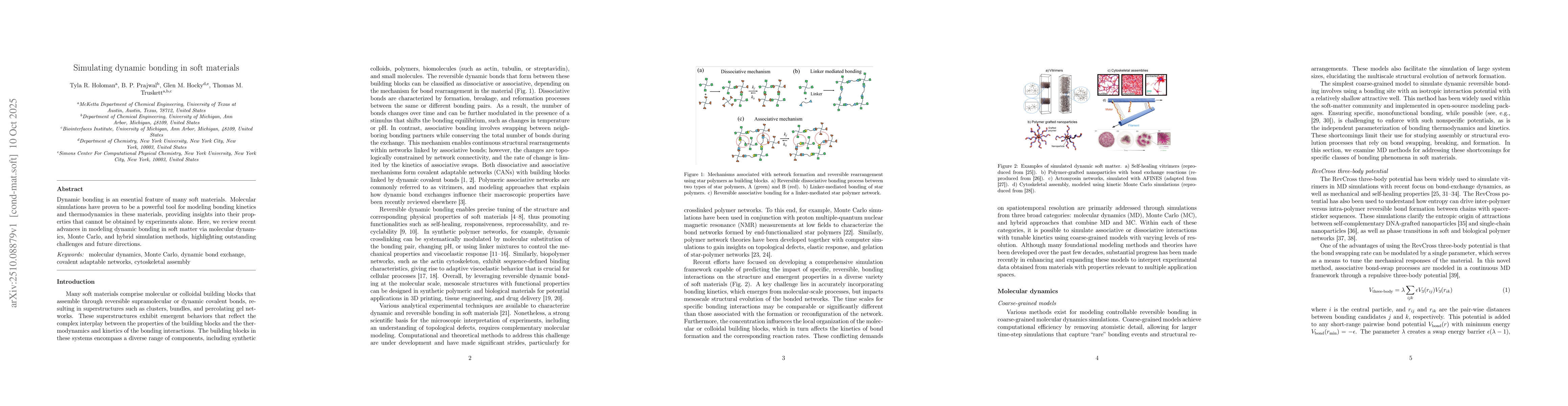 Thumbnail for Simulating dynamic bonding in soft materials