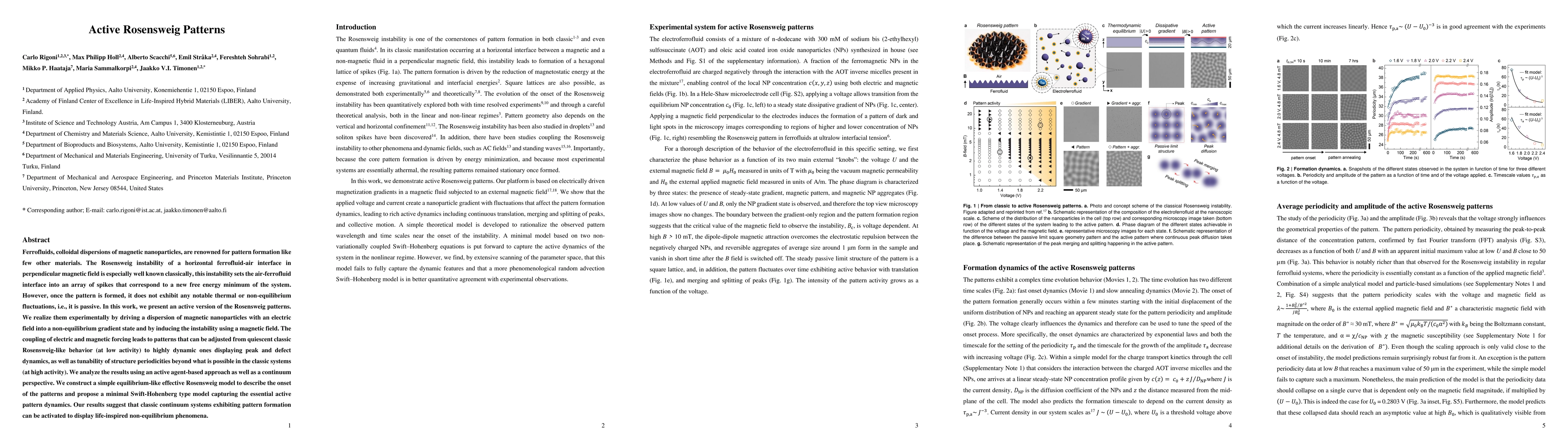 Thumbnail for Active Rosensweig Patterns