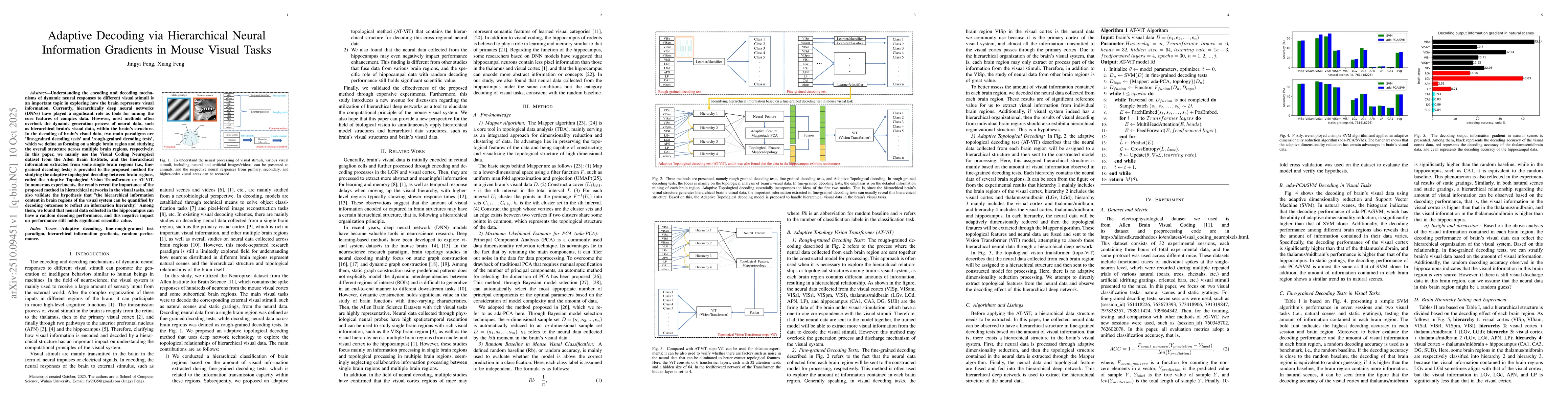 Thumbnail for Adaptive Decoding via Hierarchical Neural Information Gradients in Mouse
  Visual Tasks