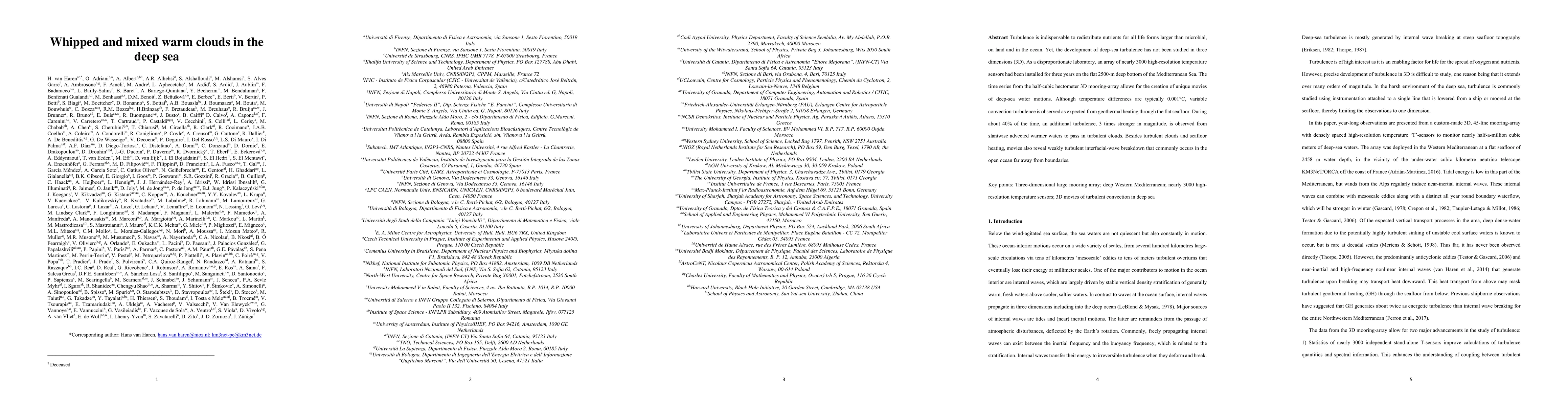 Thumbnail for Whipped and mixed warm clouds in the deep sea