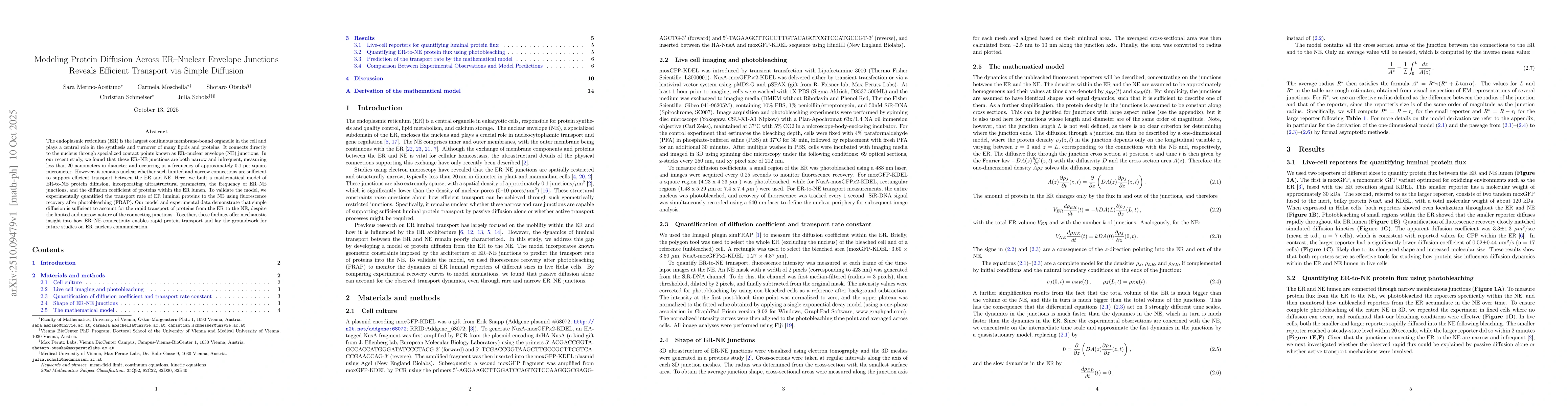 Thumbnail for Modeling Protein Diffusion Across ER-Nuclear Envelope Junctions Reveals
  Efficient Transport via Simple Diffusion