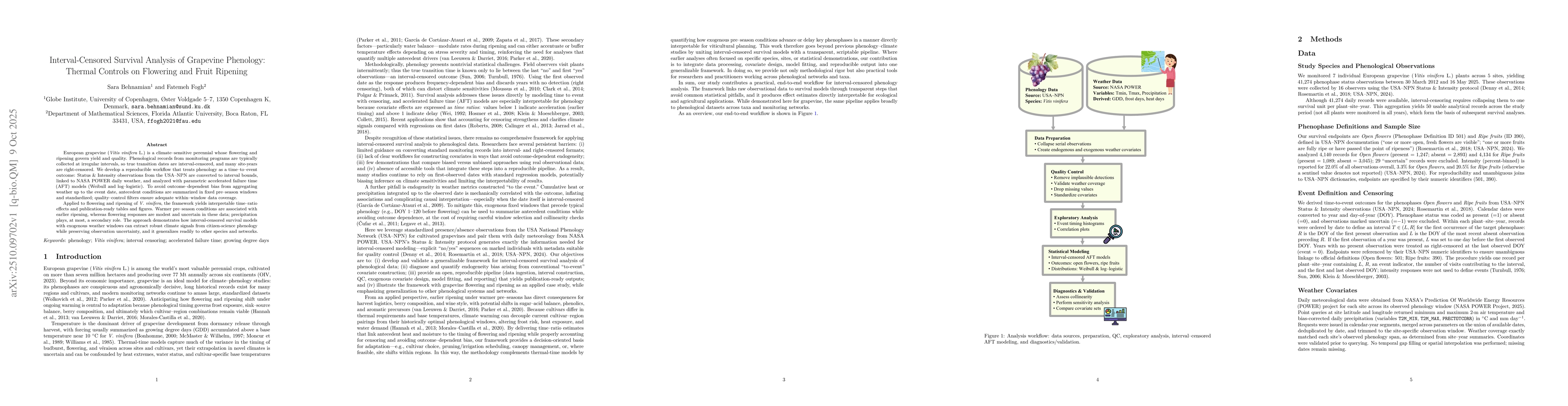 Thumbnail for Interval-Censored Survival Analysis of Grapevine Phenology: Thermal
  Controls on Flowering and Fruit Ripening