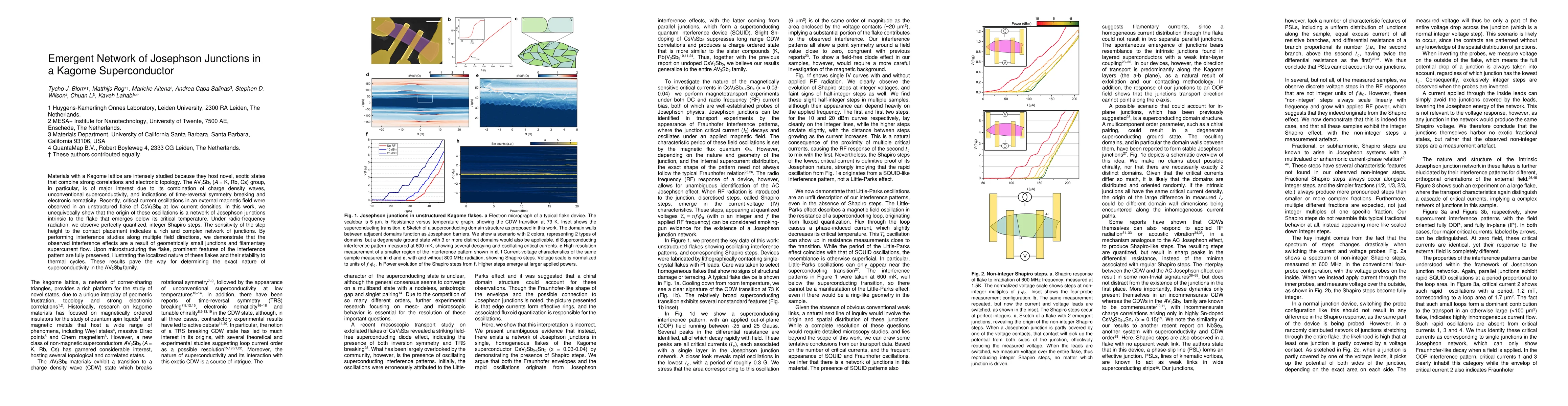 Thumbnail for Emergent Network of Josephson Junctions in a Kagome Superconductor