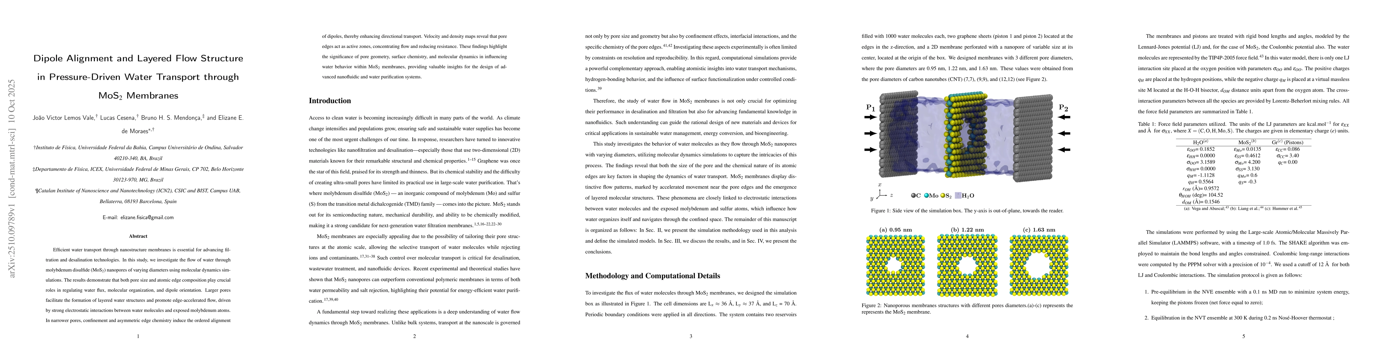 Thumbnail for Dipole Alignment and Layered Flow Structure in Pressure-Driven Water
  Transport through MoS$_{2}$ Membranes