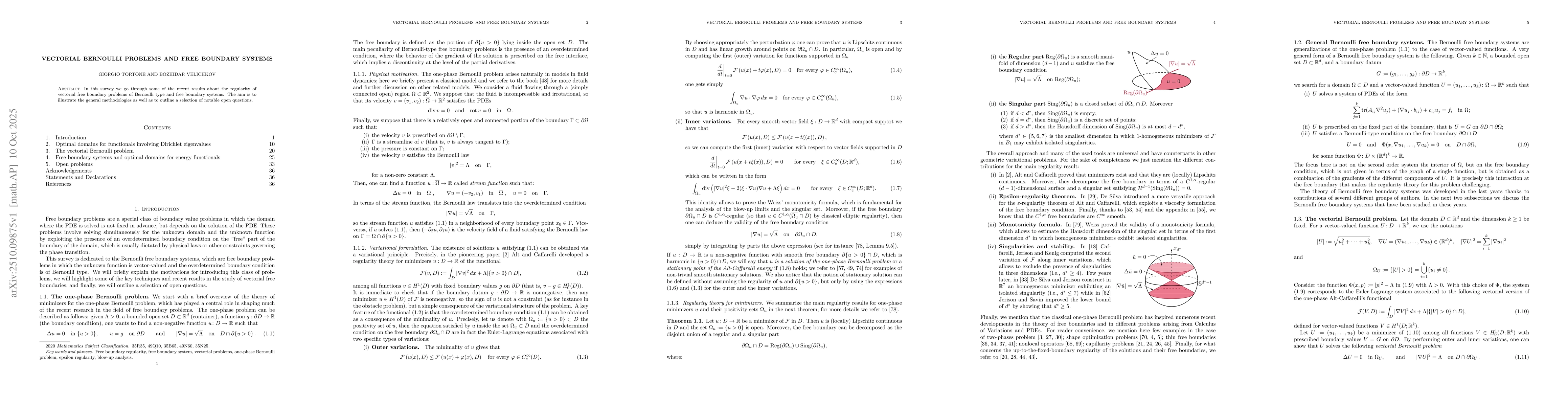 Thumbnail for Vectorial Bernoulli Problems and Free Boundary Systems