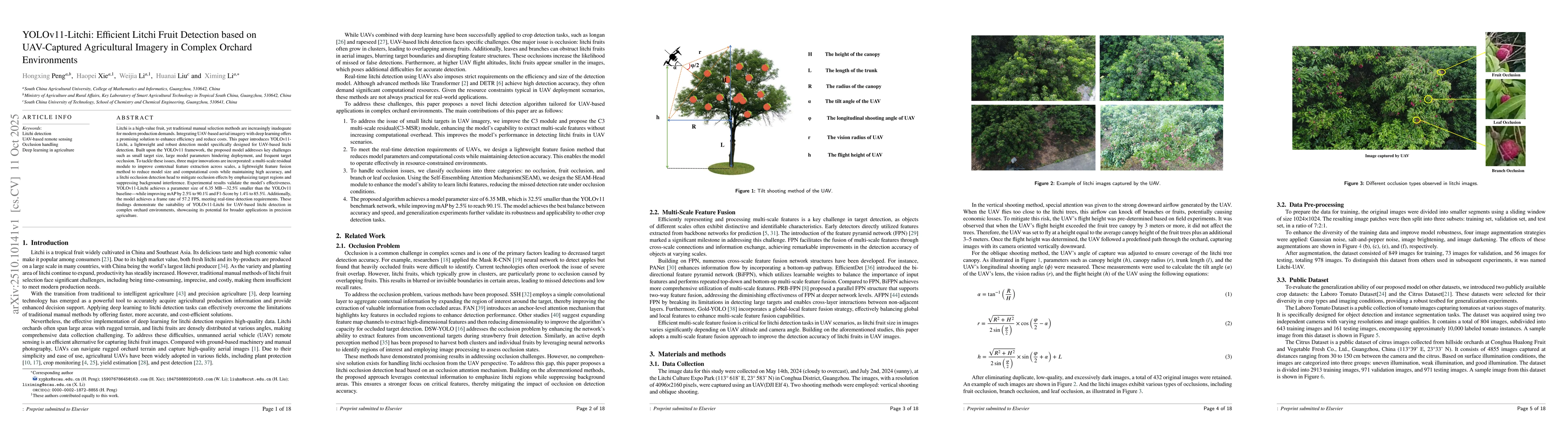Thumbnail for YOLOv11-Litchi: Efficient Litchi Fruit Detection based on UAV-Captured
  Agricultural Imagery in Complex Orchard Environments