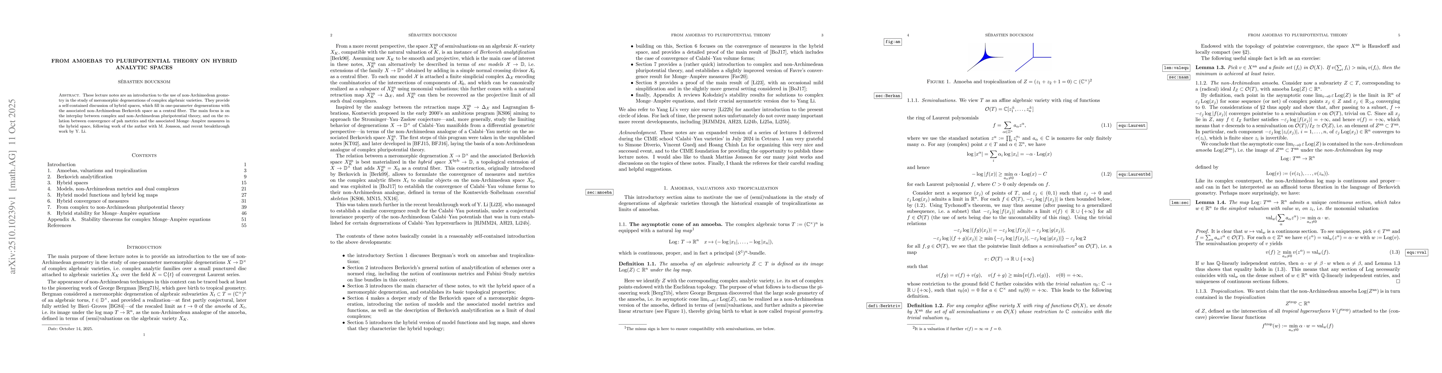 Thumbnail for From amoebas to pluripotential theory on hybrid analytic spaces