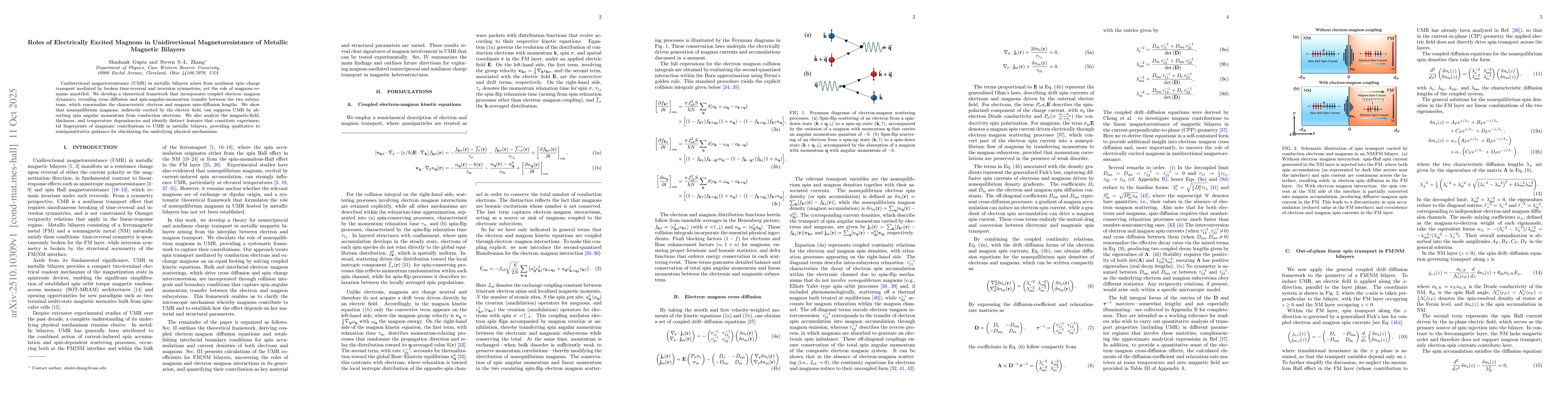 Thumbnail for Roles of Electrically Excited Magnons in Unidirectional
  Magnetoresistance of Metallic Magnetic Bilayers