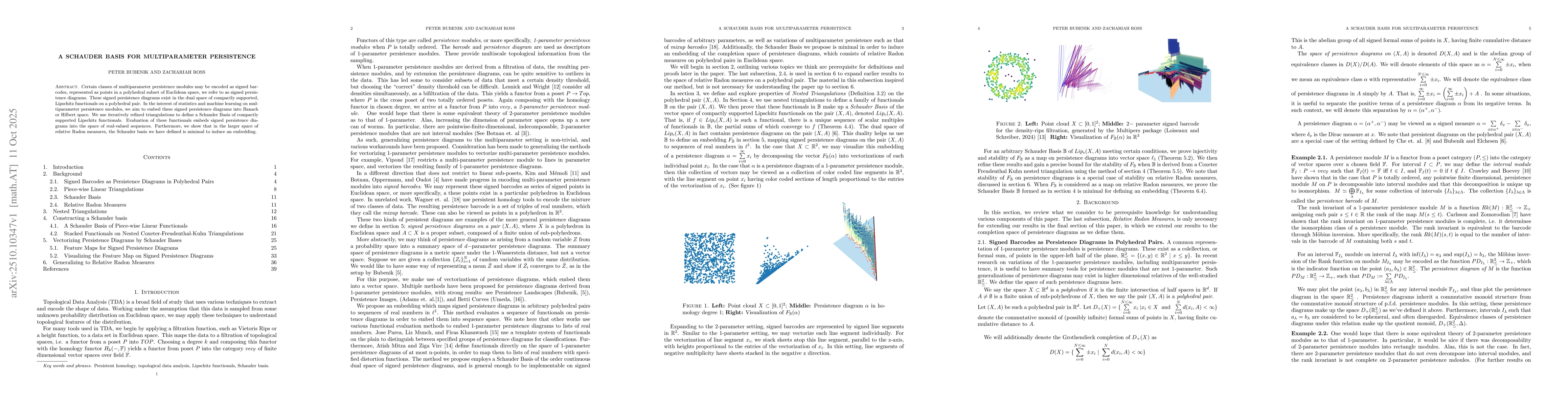 Thumbnail for A Schauder Basis for Multiparameter Persistence