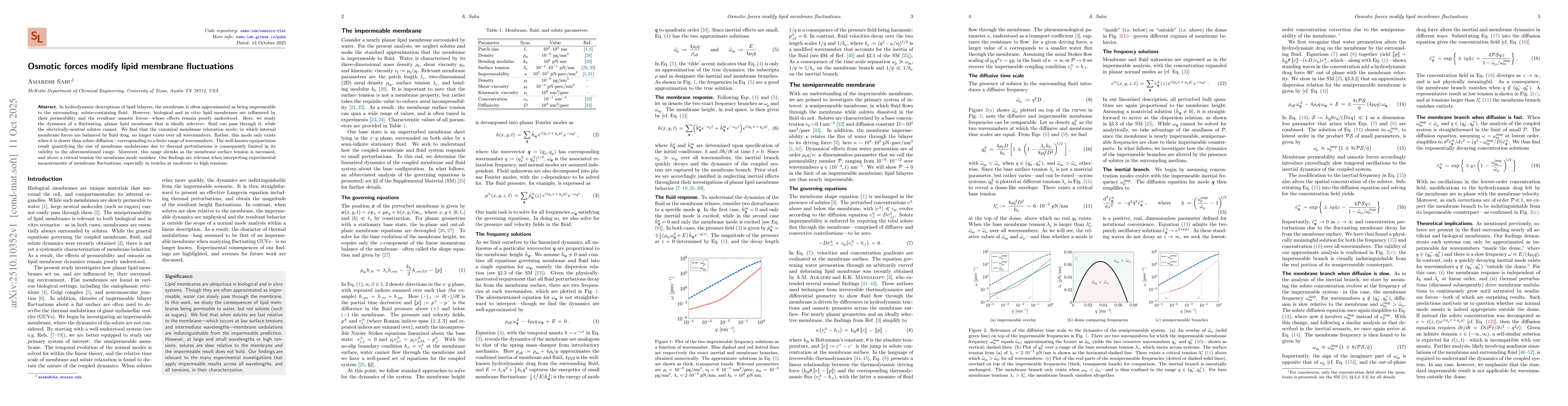Thumbnail for Osmotic forces modify lipid membrane fluctuations